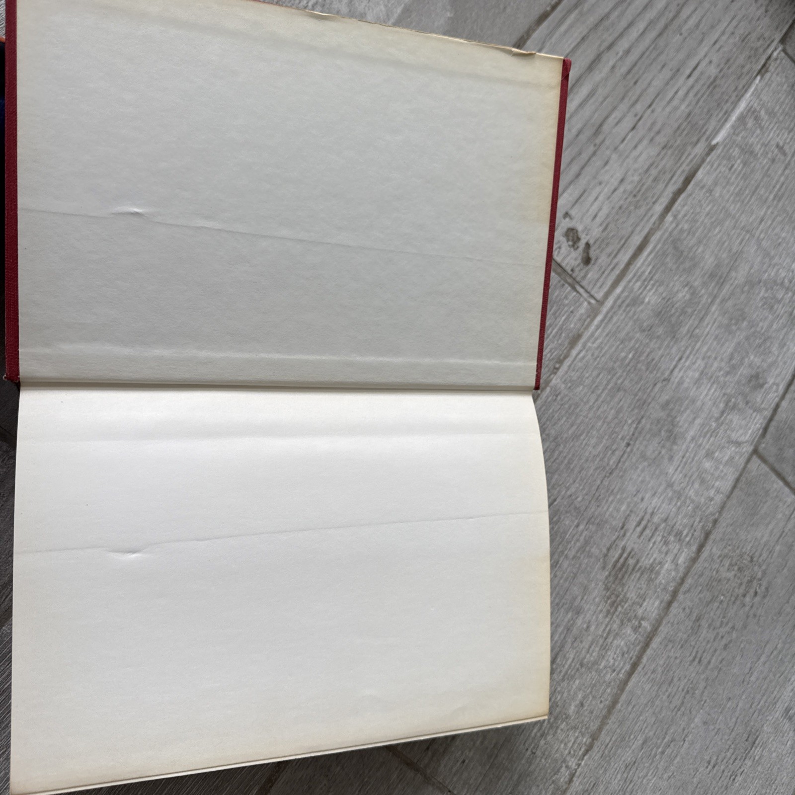 Rotherham’s Emphasized Bible