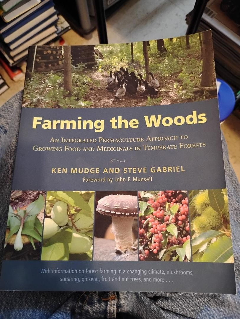 Farming the Woods Permaculture Approach Growing Food Medicinals Temperate Forest