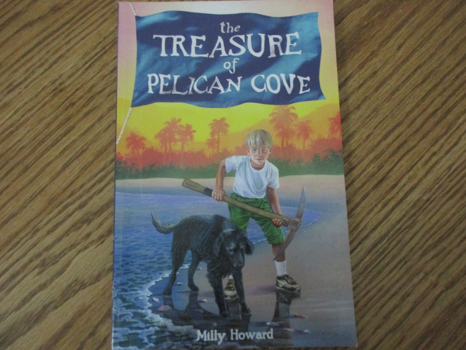 BJU The Treasure of Pelican Cove reader (ages 9-12)