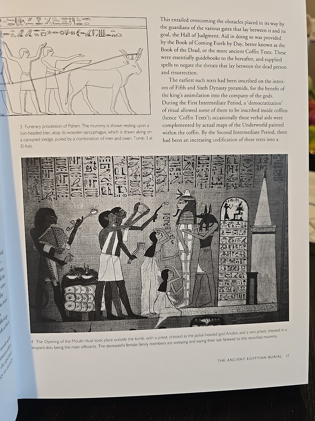 The Mummy In Ancient Egypt- Salima Ikram, Aidan Dodson