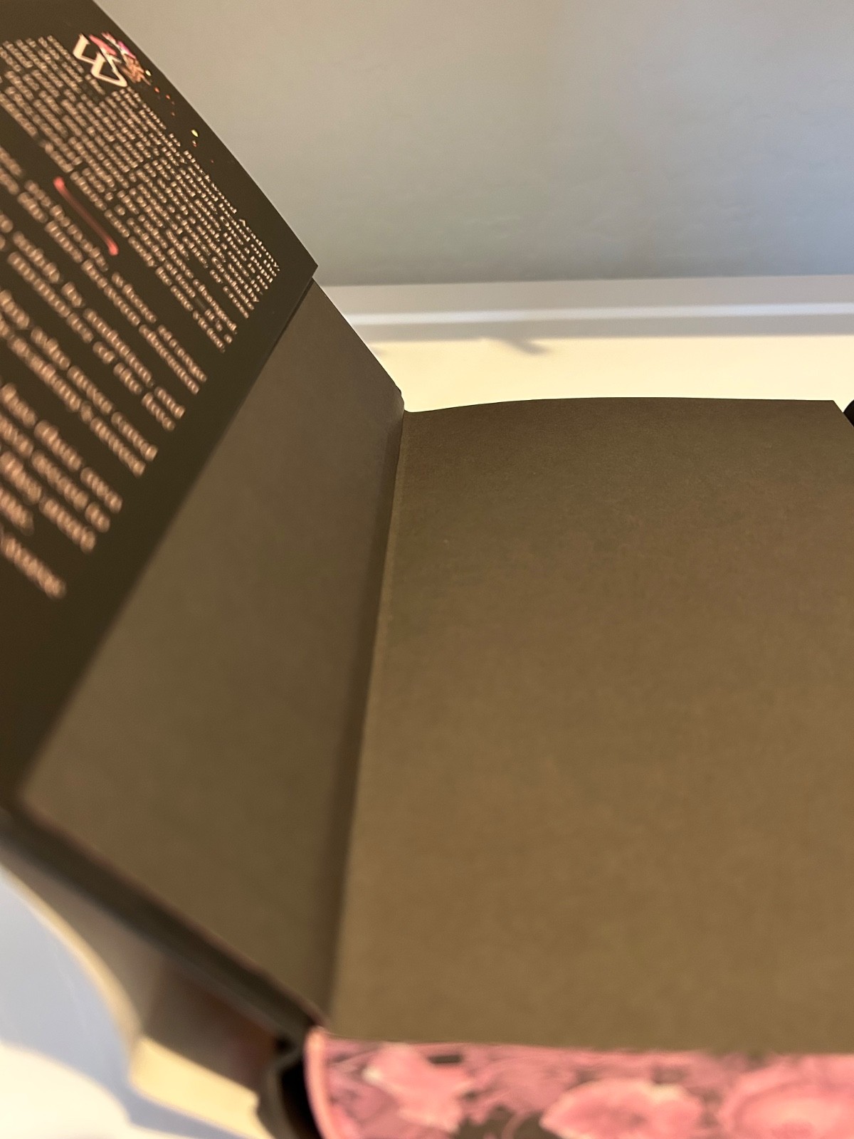 Ruinous Ends & Immortal Consequences by I. V. Marie Hardcover Deluxe Edition