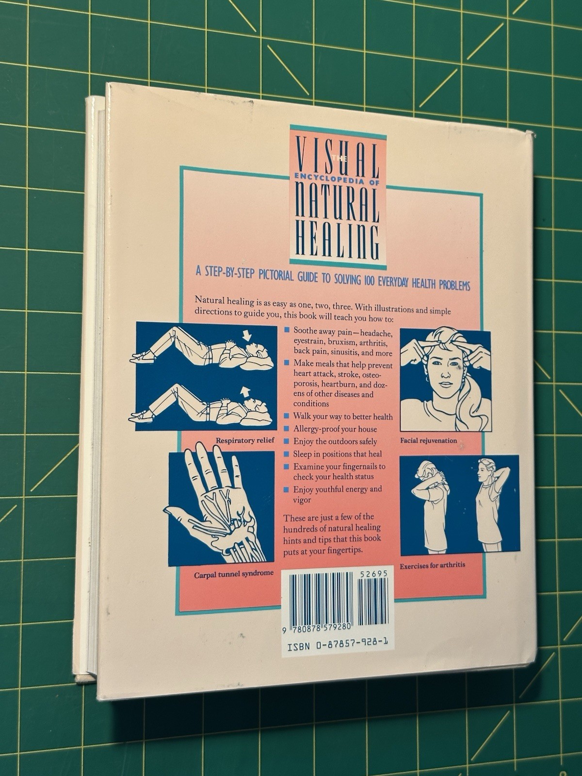 The Visual Encyclopedia of Natural Healing by Alice Feinstein