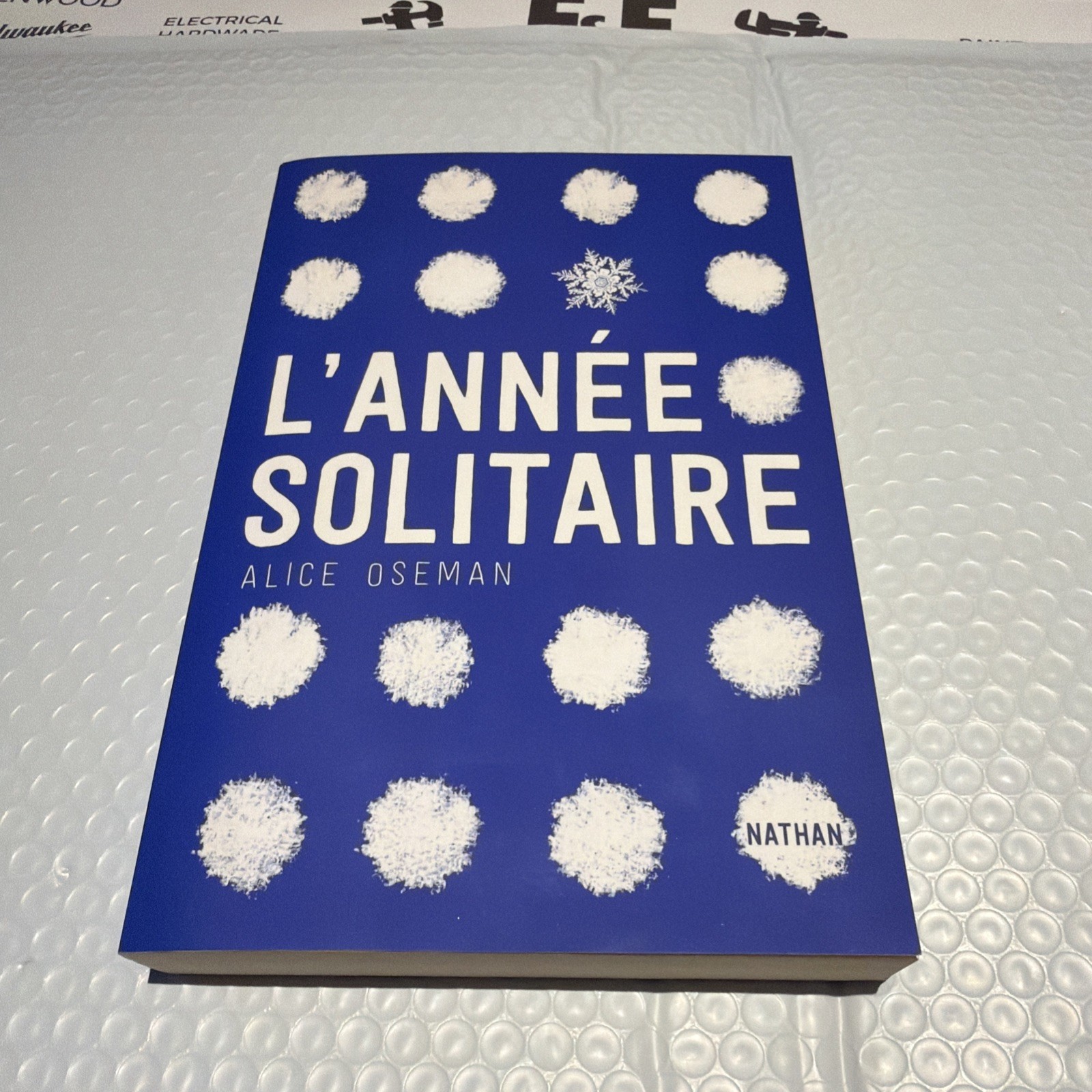 L’année solitaire (1), Alice Oseman et Anne Delcourt