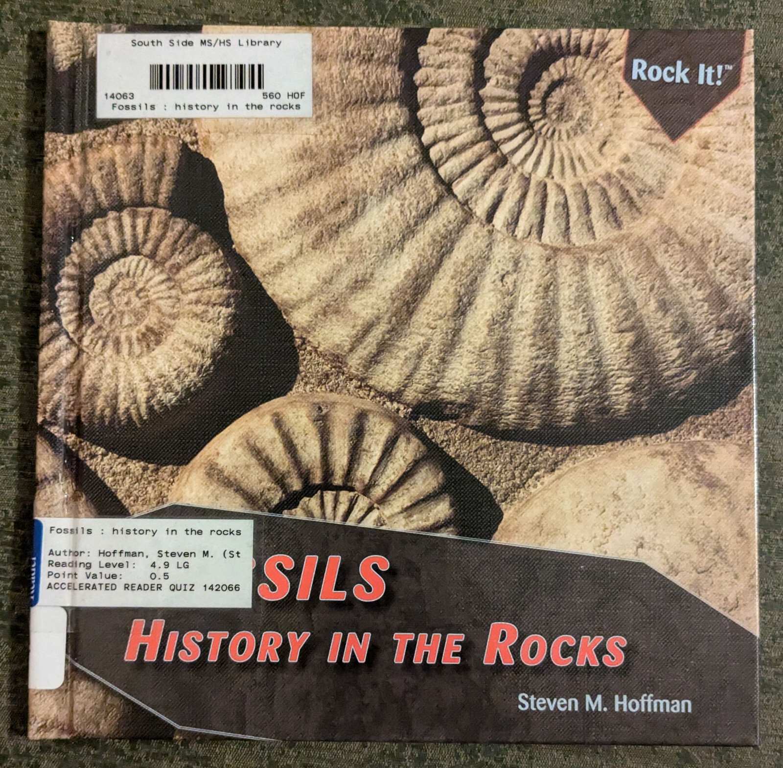 Fossils : History in the Rocks by Steven M. Hoffman – hardcover book – 2011