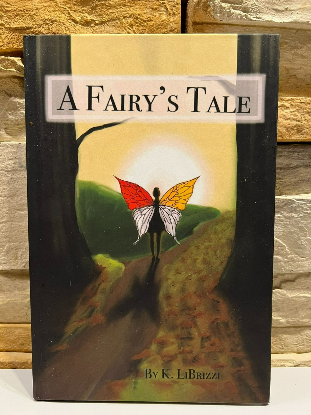 A Fairy’s Tale by K. LiBrizzi 2024 Hardcover Adventure Fantasy Used Book