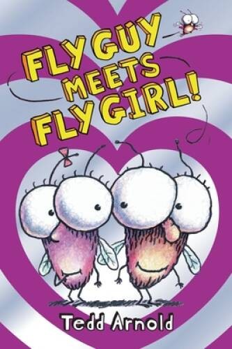 Fly Guy Meets Fly Girl! (Fly Guy #8) – Hardcover By Arnold, Tedd – VERY GOOD