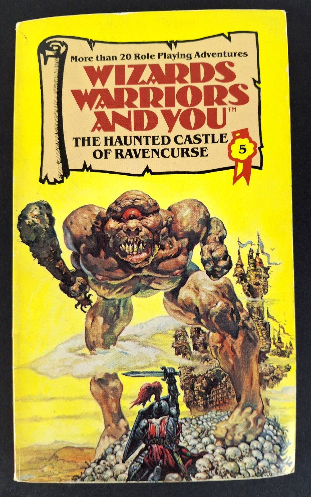 Wizards Warriors and You #5: The Haunted Castle of Ravencurse RPG UK Import CYOA