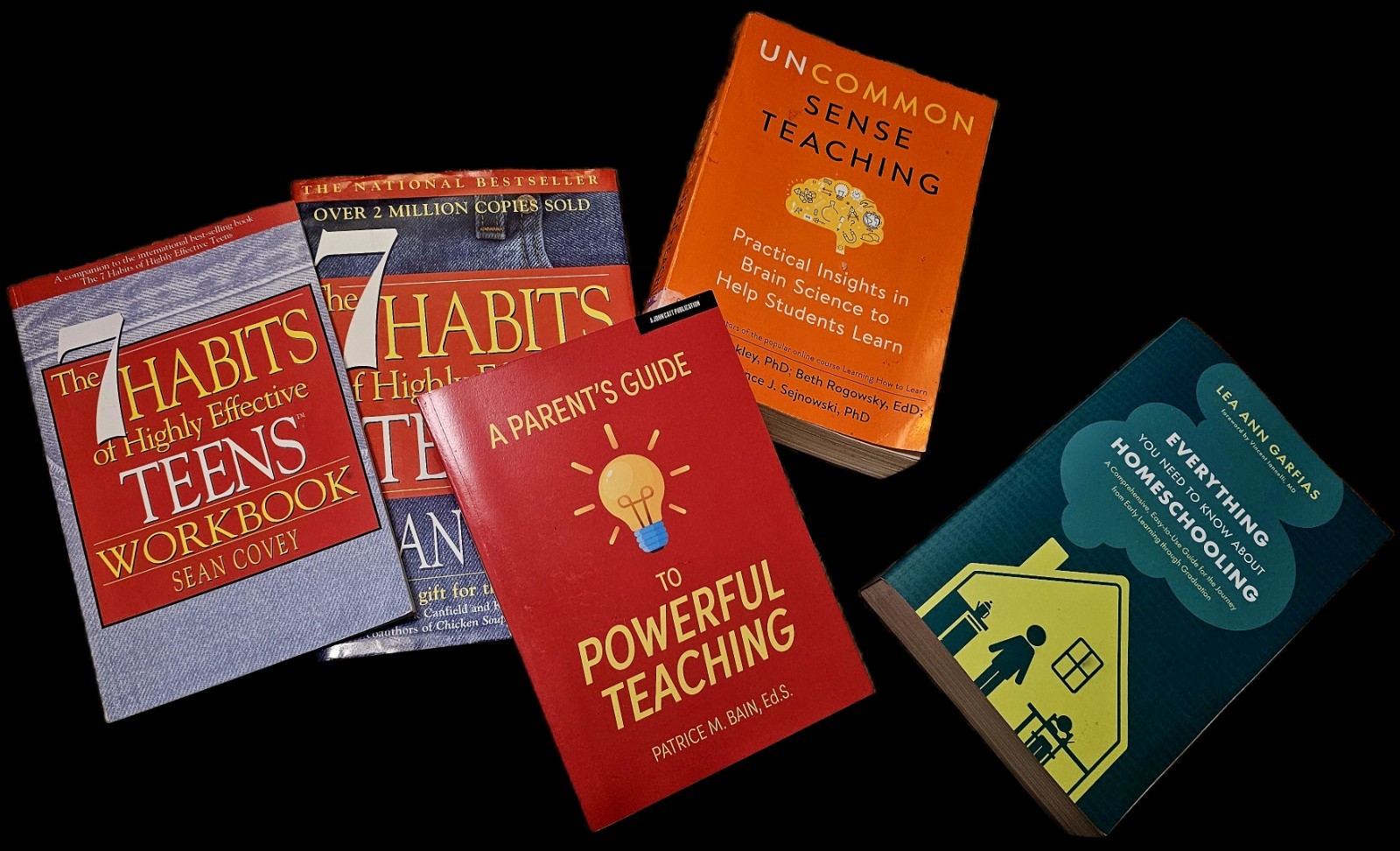 Homeschool & Teen Success Bks 7 Habits + Workbook Teaching parent Guides
