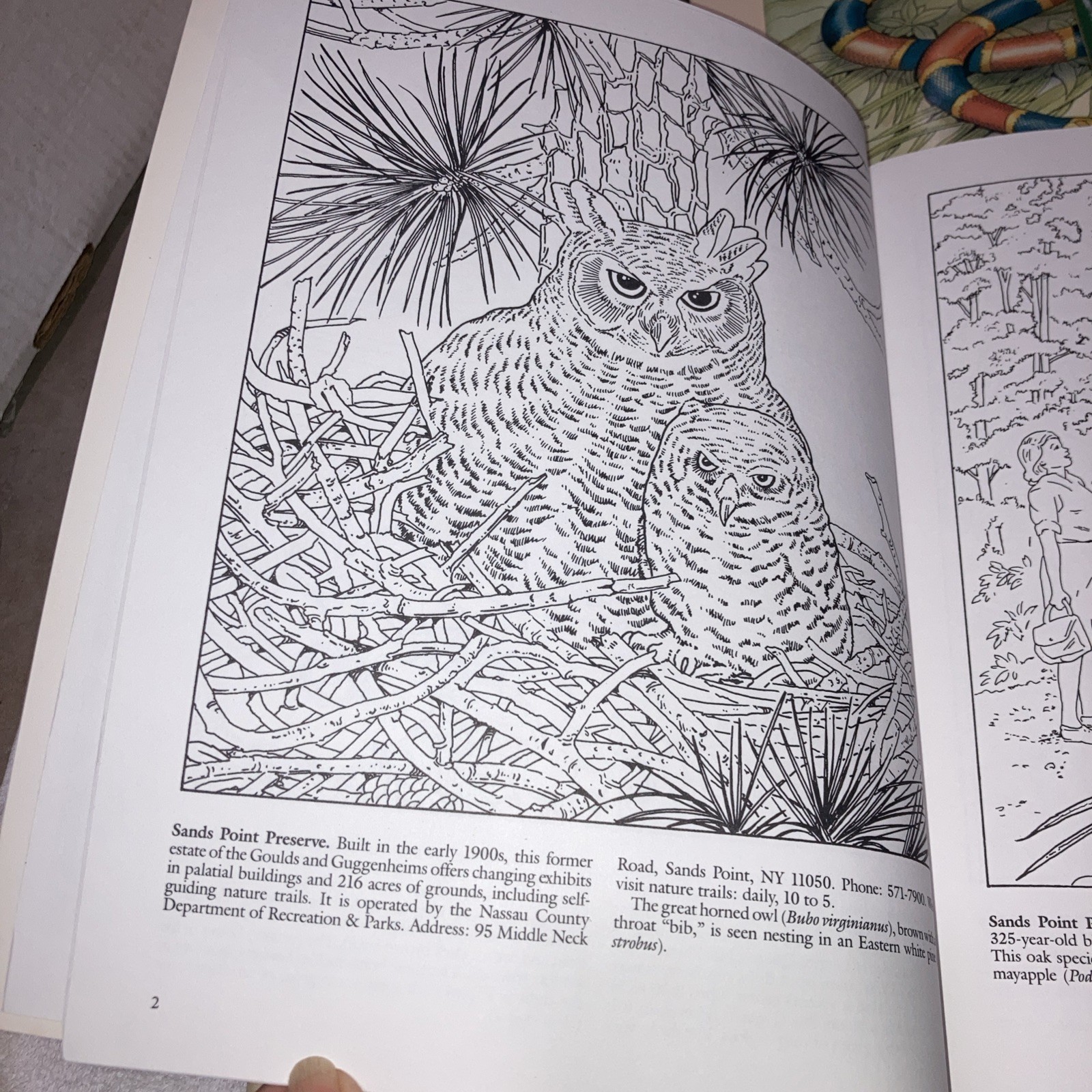 Dover Vintage Coloring Books Lot of 9 Assorted Educational 1981-2002 Unused