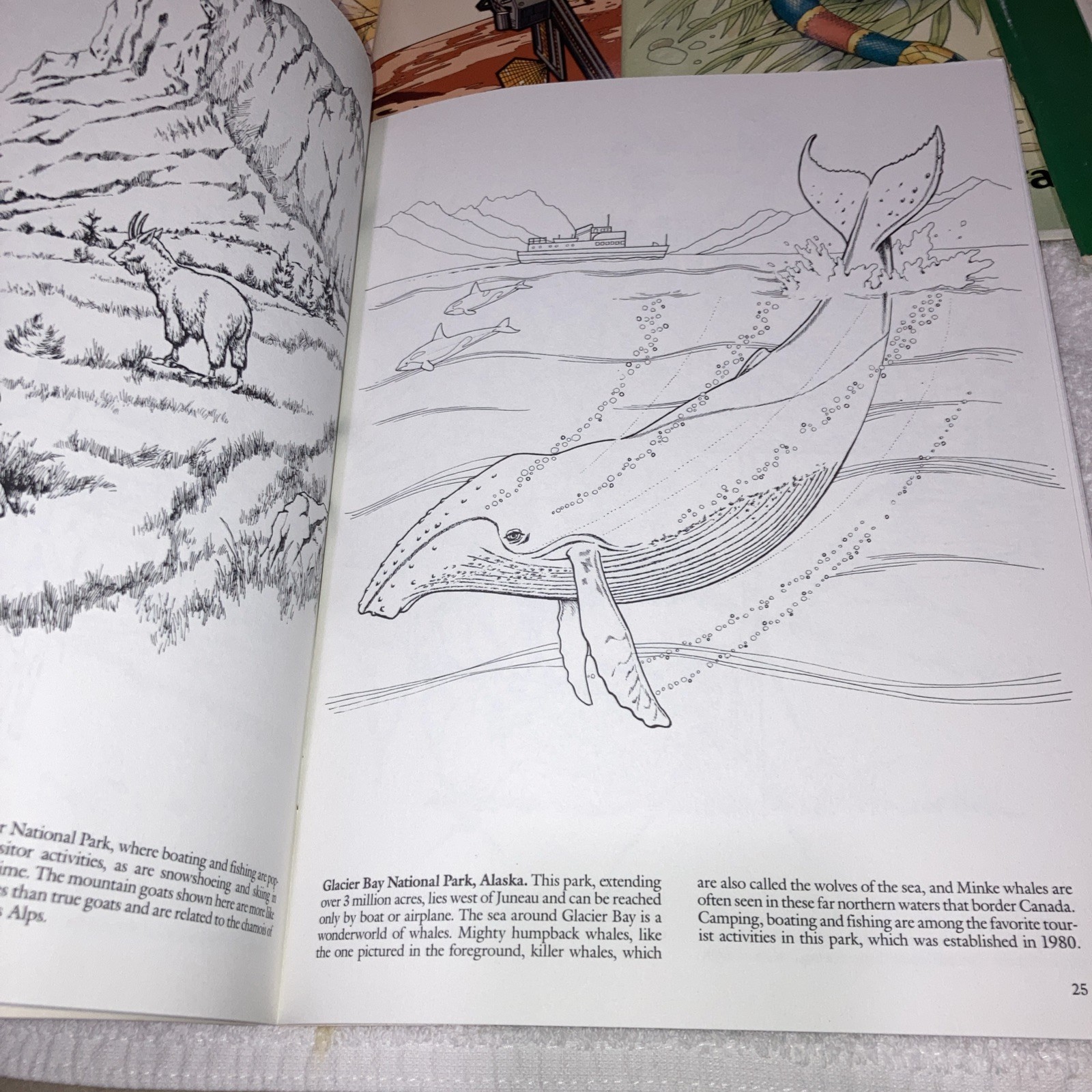 Dover Vintage Coloring Books Lot of 9 Assorted Educational 1981-2002 Unused