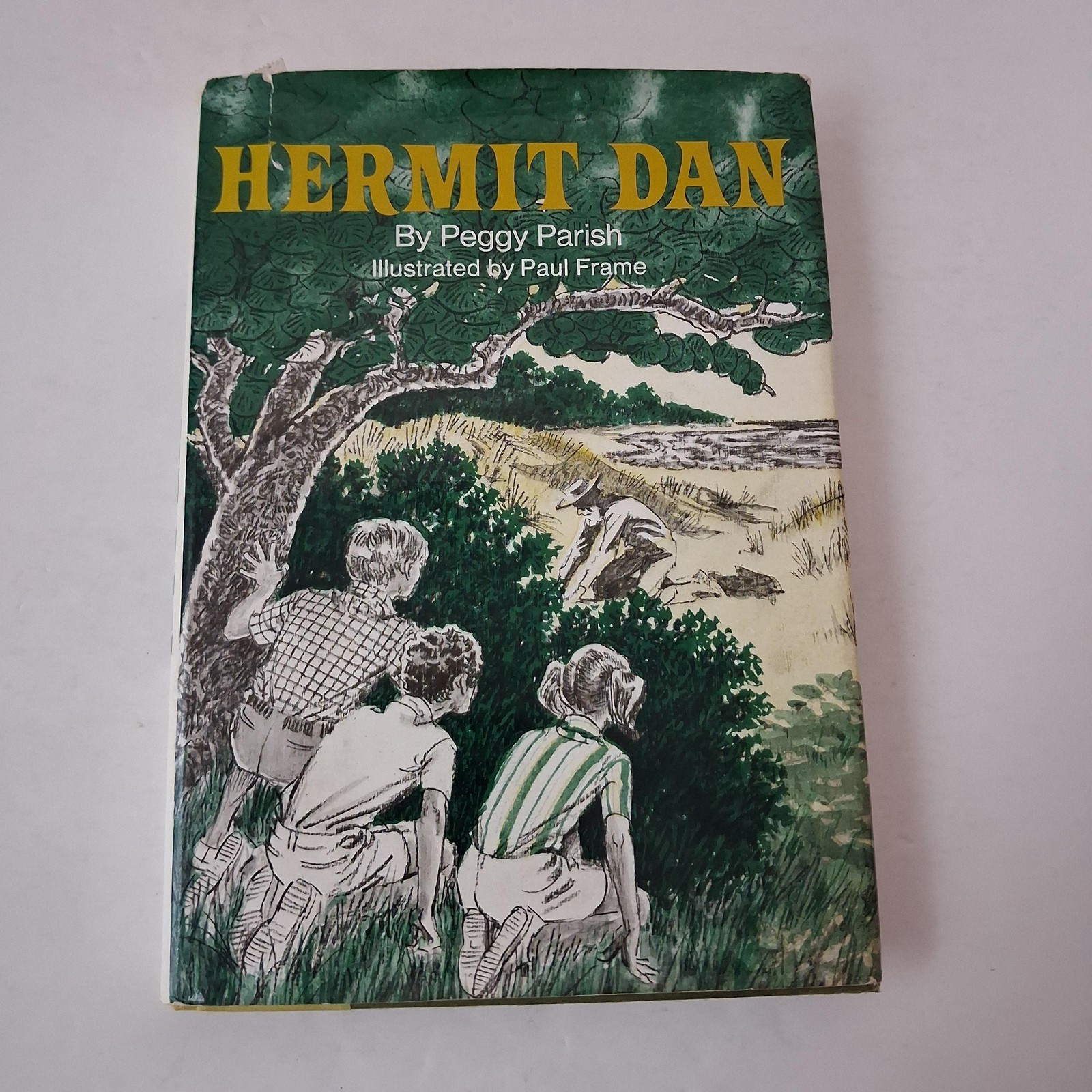 Vintage Hermit Dan Peggy Parish Childrens Mystery Green HC DJ 1977 USA Macmillan
