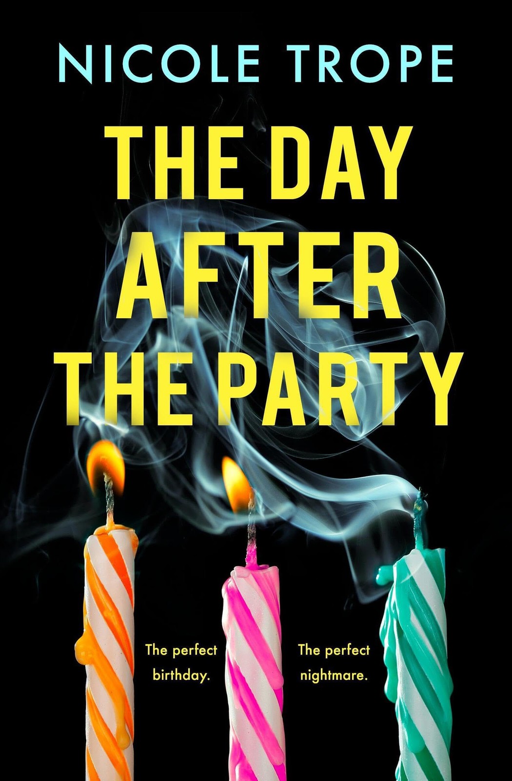 The Day After the Party – paperback Trope, Nicole