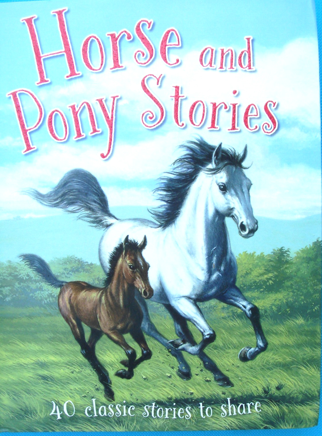 Children’s book Horse and Pony stories 511 pages with illustrations like new