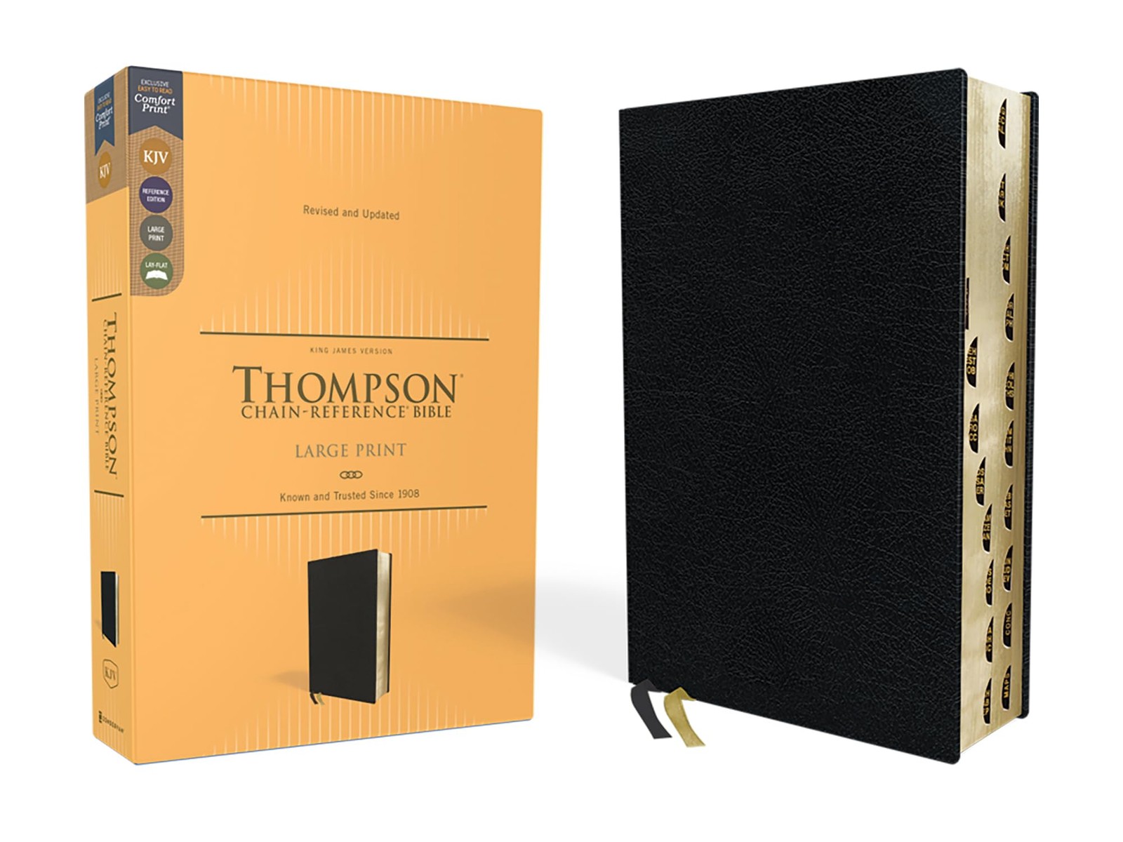 KJV, Thompson Chain-Reference Bible, Large Print, Bonded Leather, Black