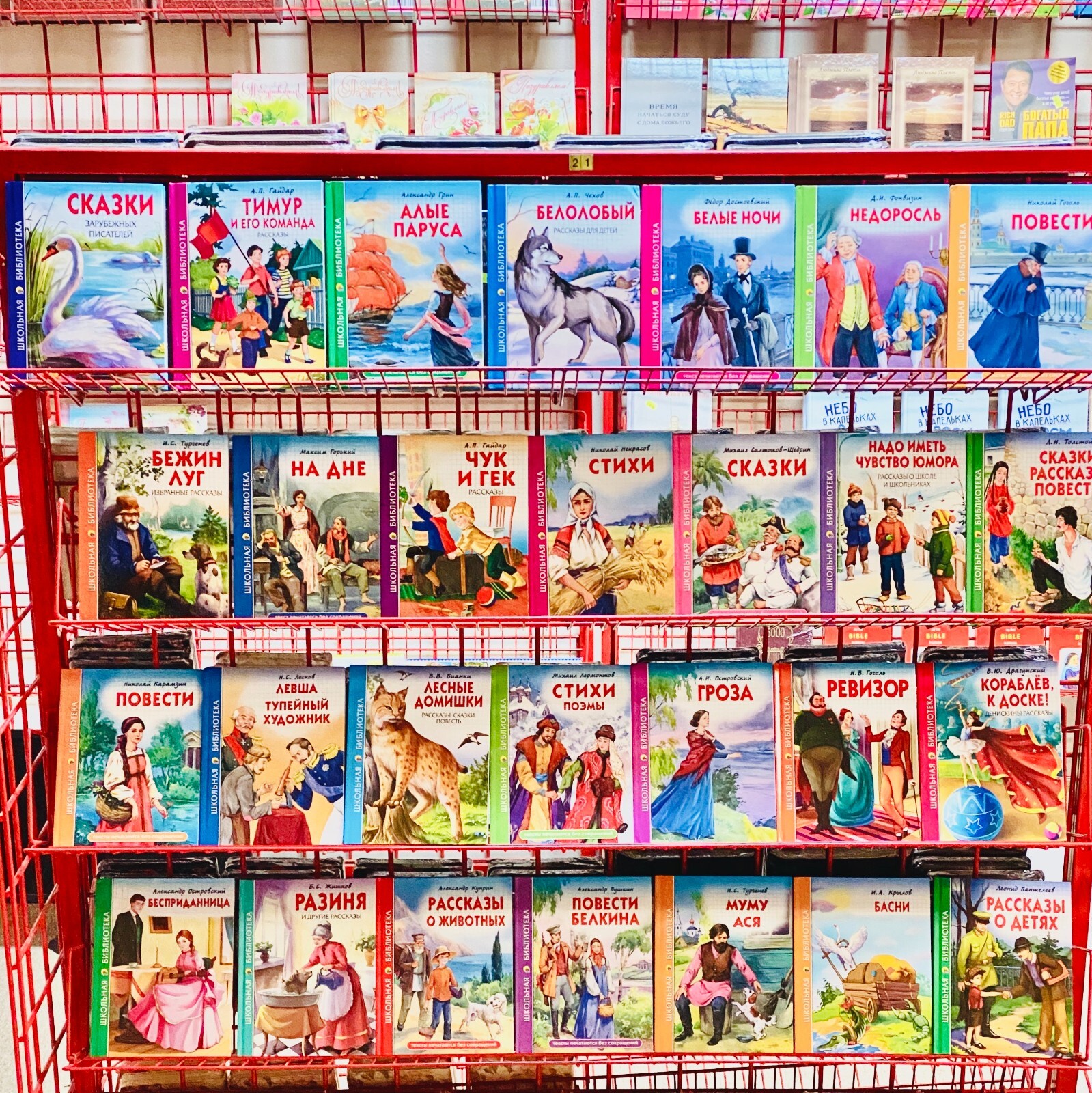 Russian kids book Сказки о принцах и принцессах