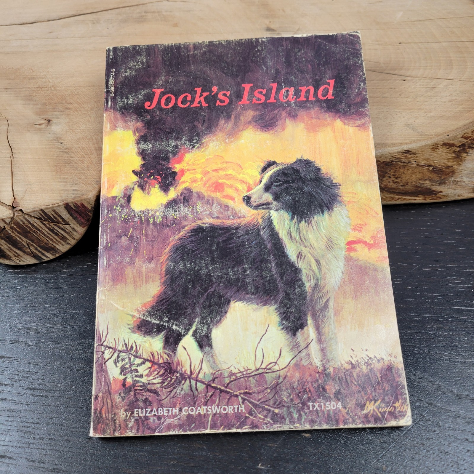 Jock’s Island By Elizabeth Coatsworth TX 1504 Scholastic SBS 1963 Vintage PB