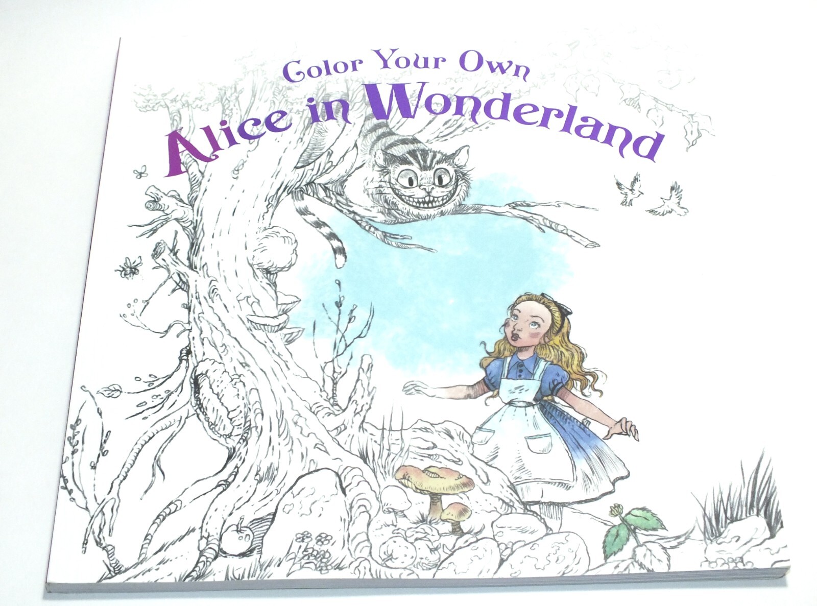 Alice In Wonderland Coloring Book Color Your Own Storybook 2016 Harper Collins