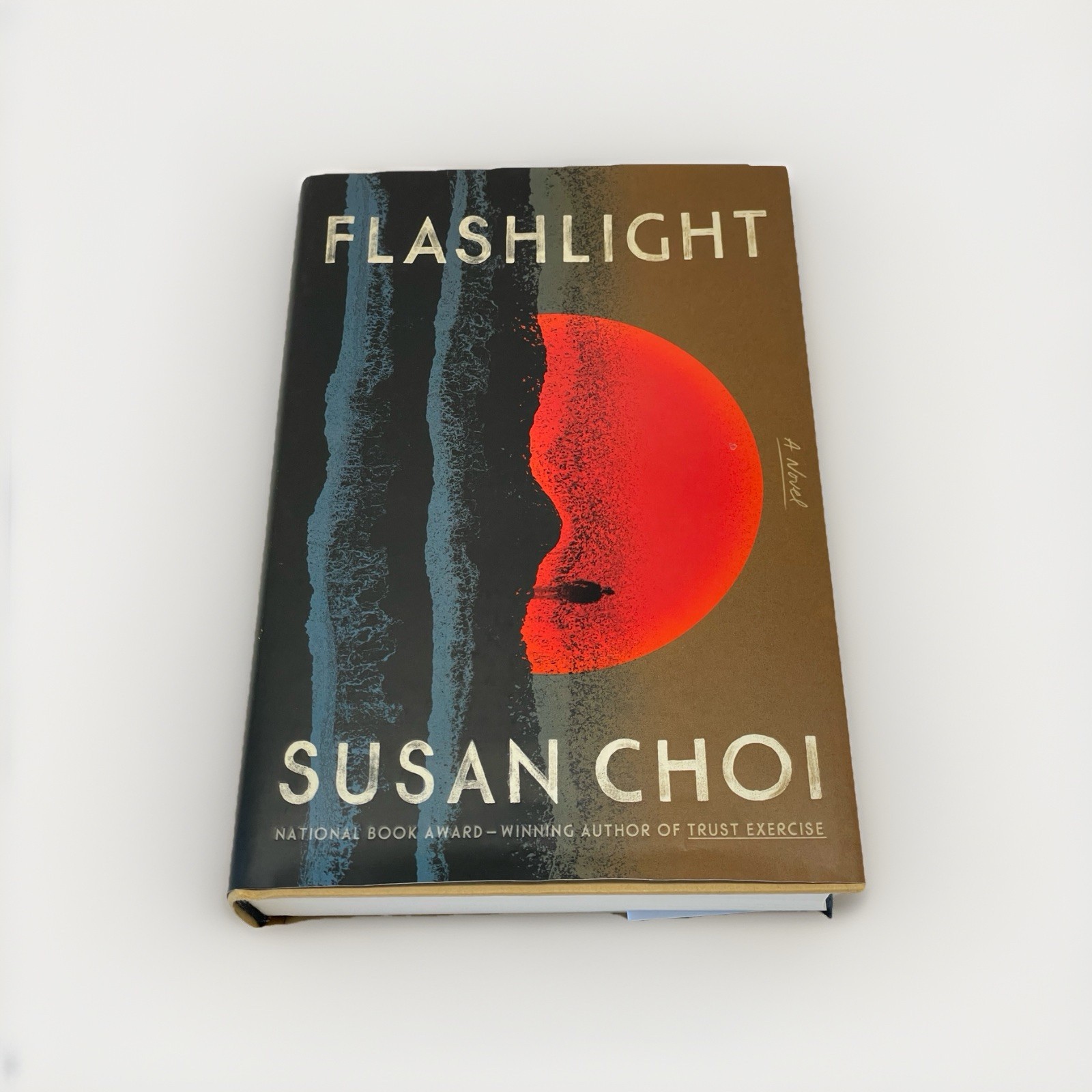 Flashlight by Susan Choi First Edition 2025 Hardcover Mystery Family Tragedy