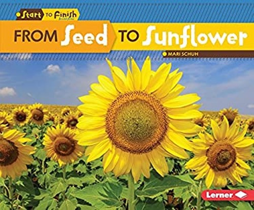 From Seed to Sunflower Hardcover Mari Schuh