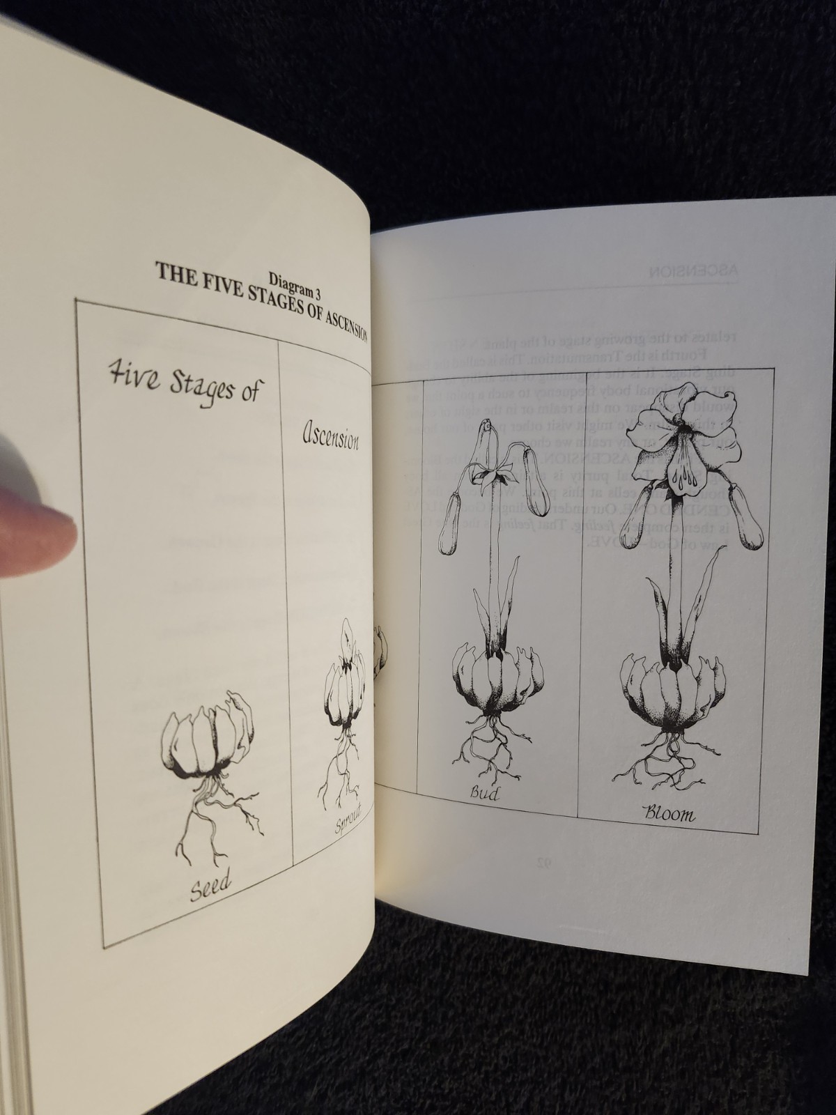 ASCENSION Beginner’s Manual By Theodore Baroody 1989 1st Ed New Age Spiritual PB