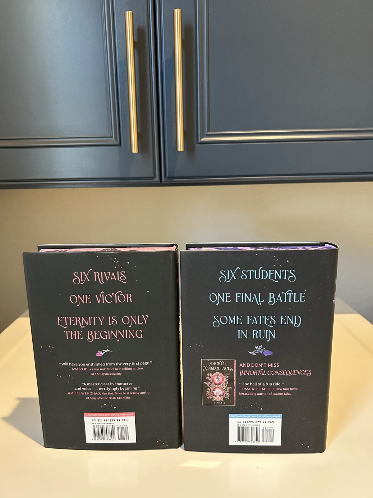Ruinous Ends & Immortal Consequences by I. V. Marie Hardcover Deluxe Edition