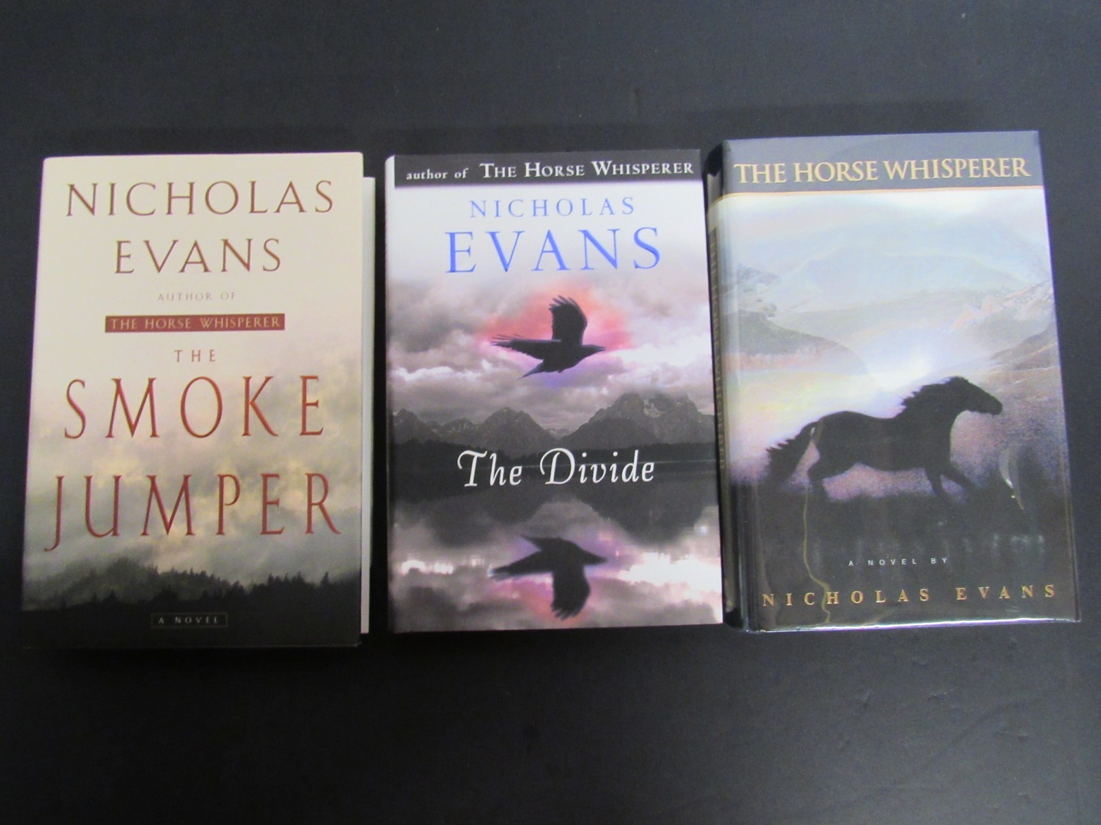 3 Nicholas Evans Books ~ HC DJ ~ The Horse Whisperer, The Divide, Smoke Jumper