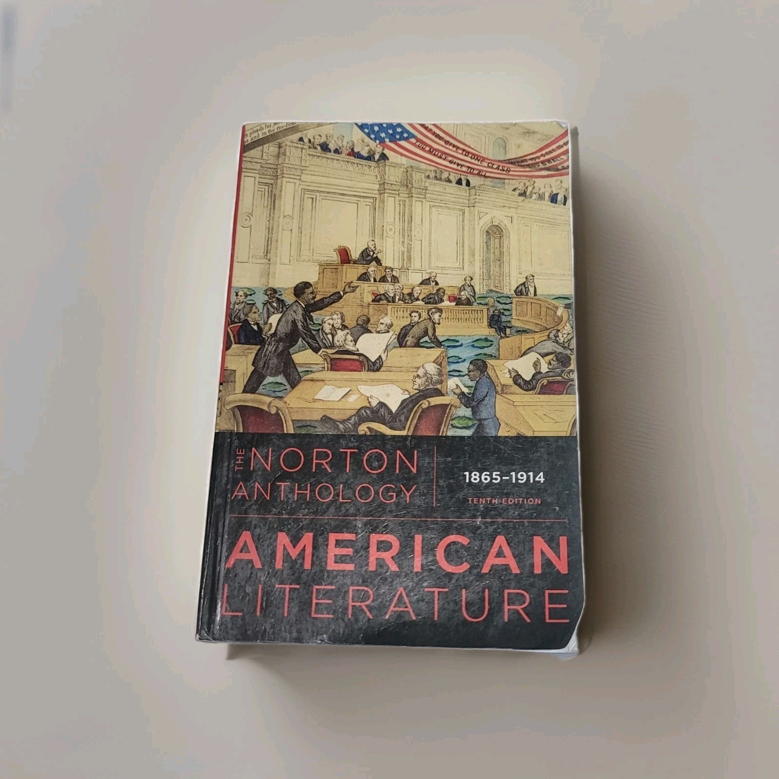 Norton Anthology of American Literature 10th Ed Vol C 1865-1914 College Textbook