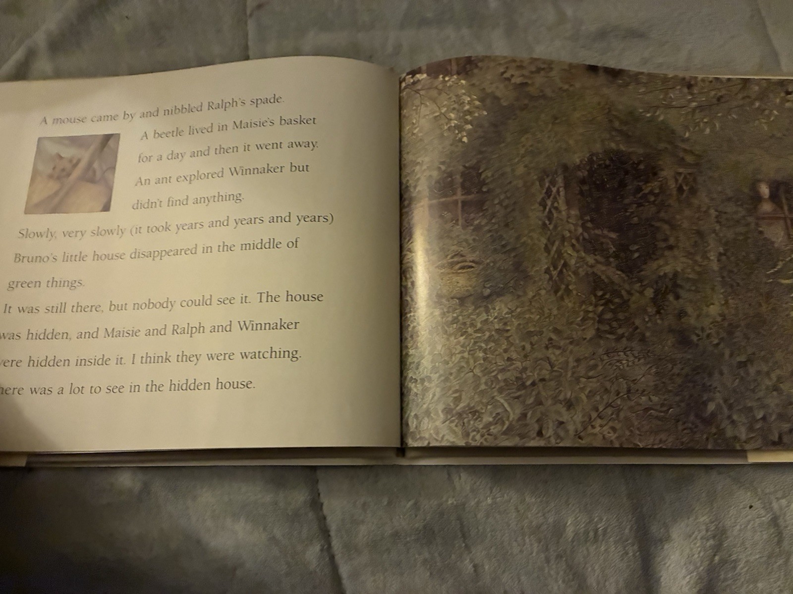 The Hidden House by Martin Waddell 1990