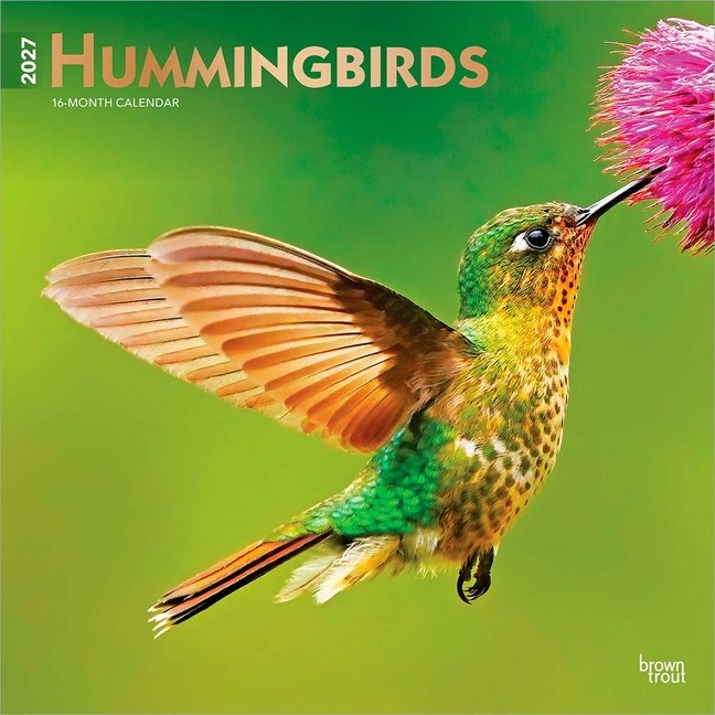 Hummingbirds 2027 12 X 24 Inch (Hanging) Monthly Square Wall Calendar Foil Daily