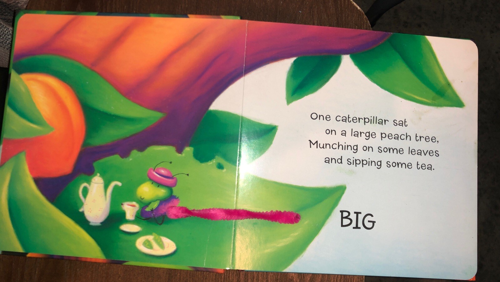 Three Little Caterpillars Board Books Dorothea DePrisco