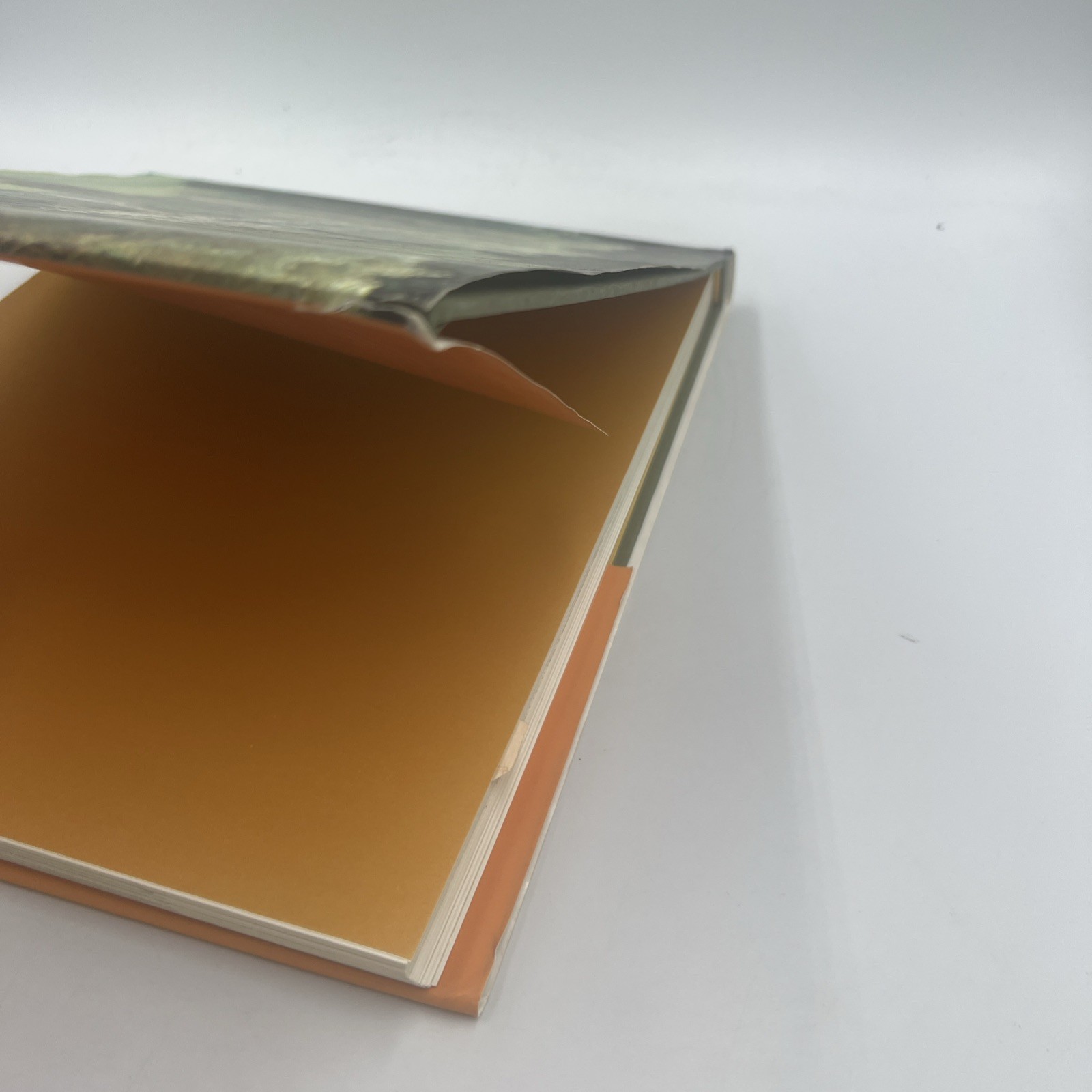 Mirrors of Paradise : The Gardens of Fernando Caruncho by Guy Cooper, Dan Kiley