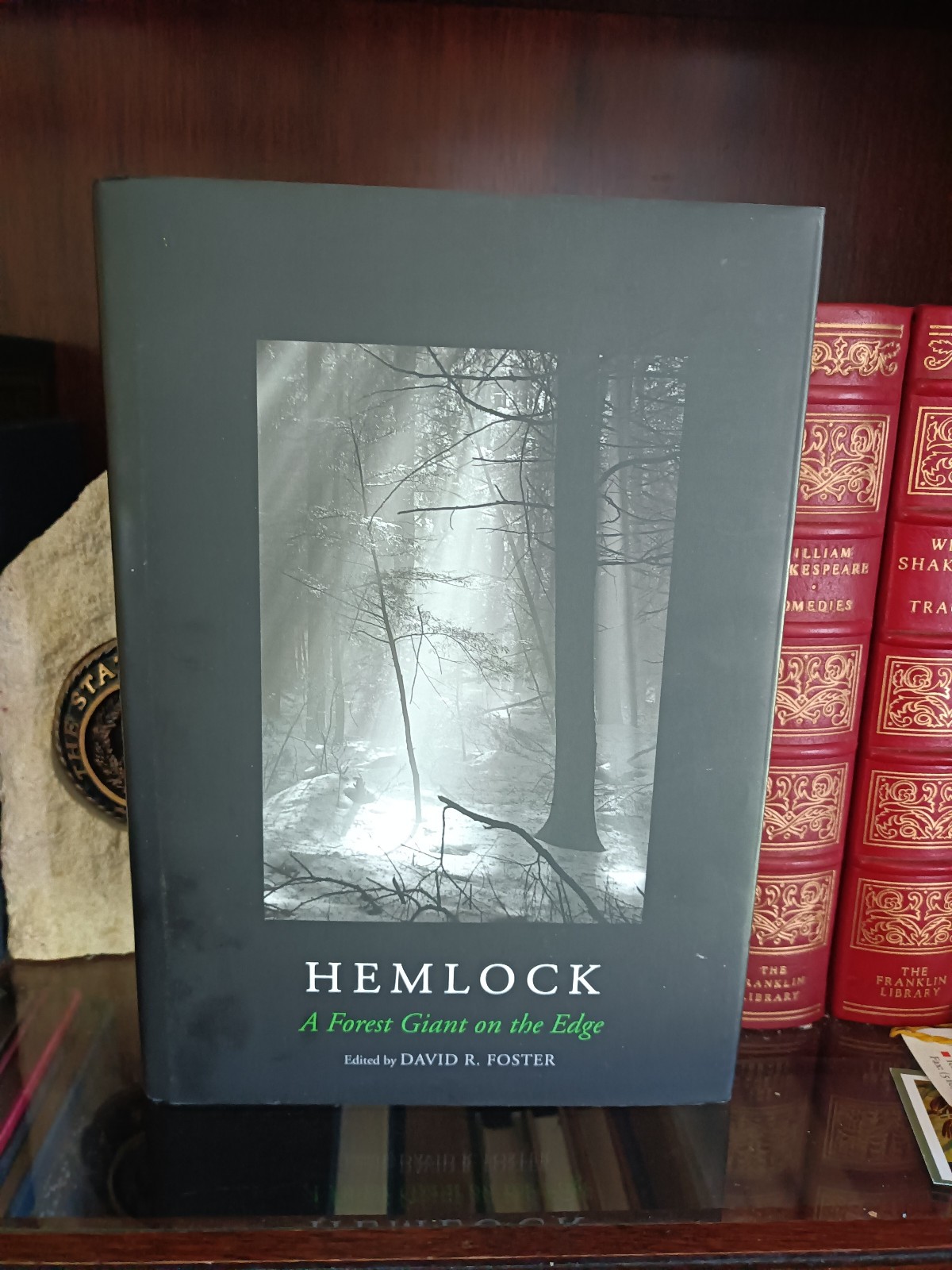 Hemlock: A Forest Giant on the Edge