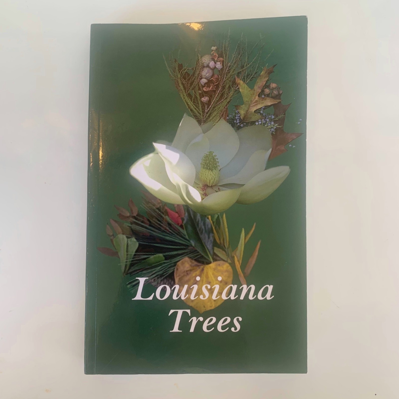 Louisiana Trees John D. Hodges David L. Evans Linda W. Garnett 7th Edition 2015