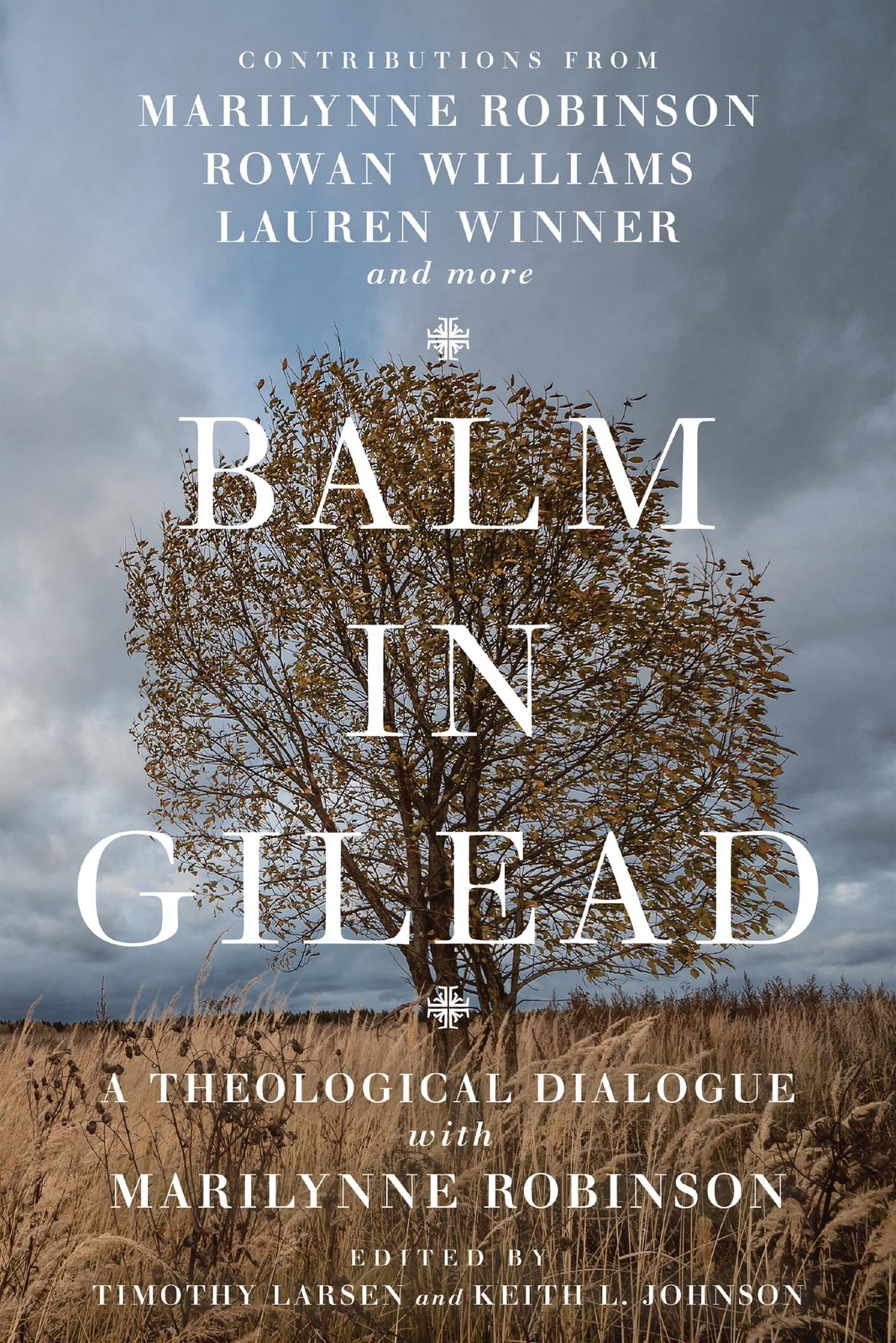 Balm in Gilead: A Theological Dialogue with Marilynne Robinson (Wheaton Theo…