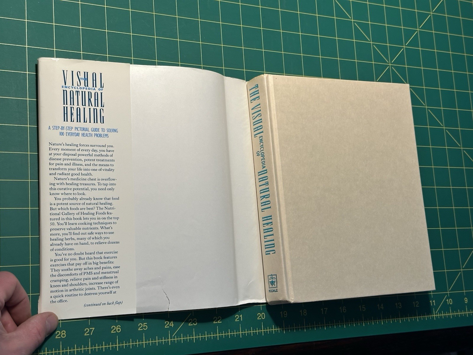 The Visual Encyclopedia of Natural Healing by Alice Feinstein