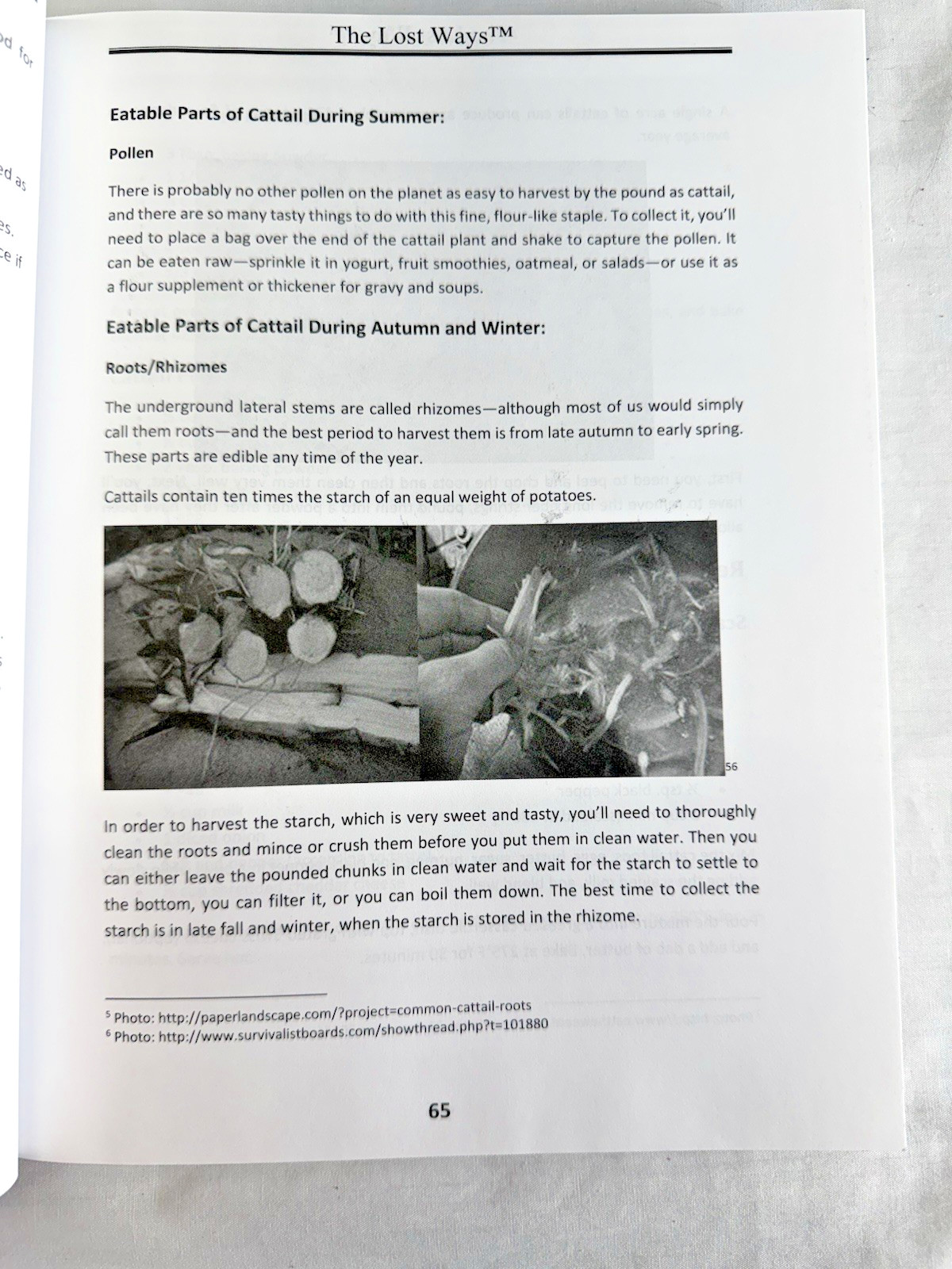 The Lost Ways 4th Edition Survival Frontier Pioneer Homestead Book