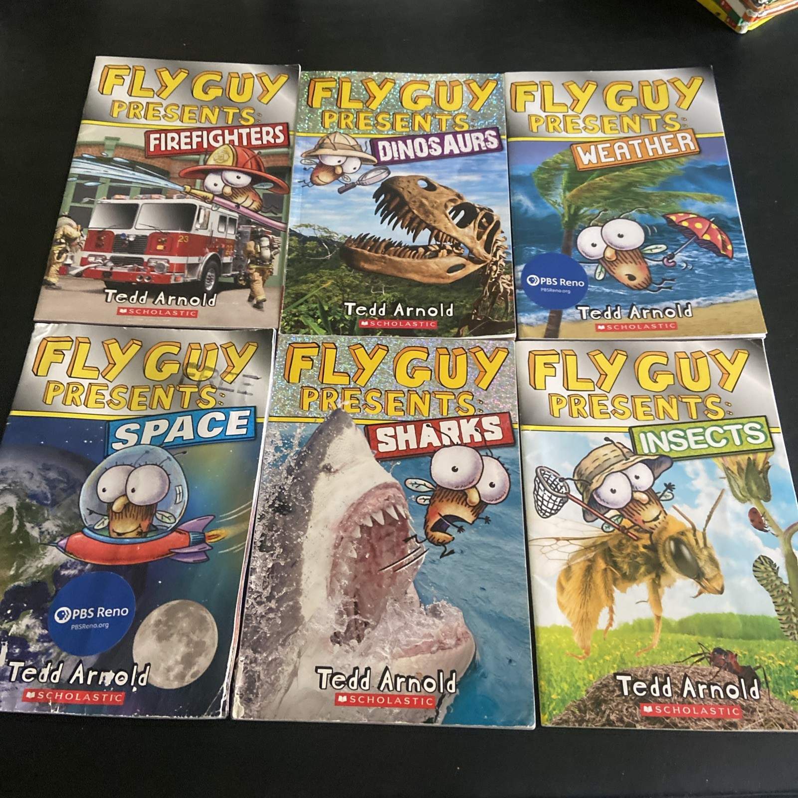 Fly Guy By Tedd Arnold Lot Of 18 HCs & PBs Acceptable To VG Condition