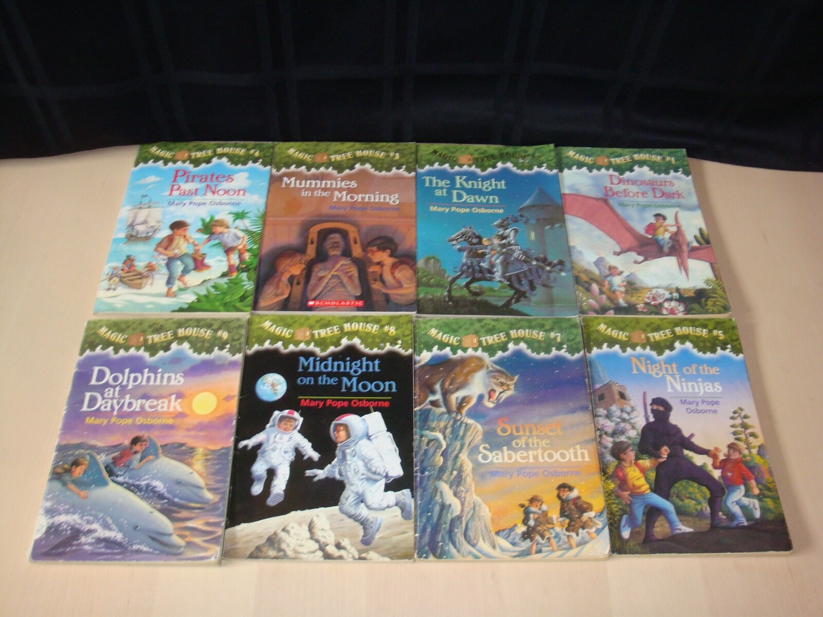 Magic Tree House Mary Pope Osborne Series 32 Chapter Book Lot Homeschool Class