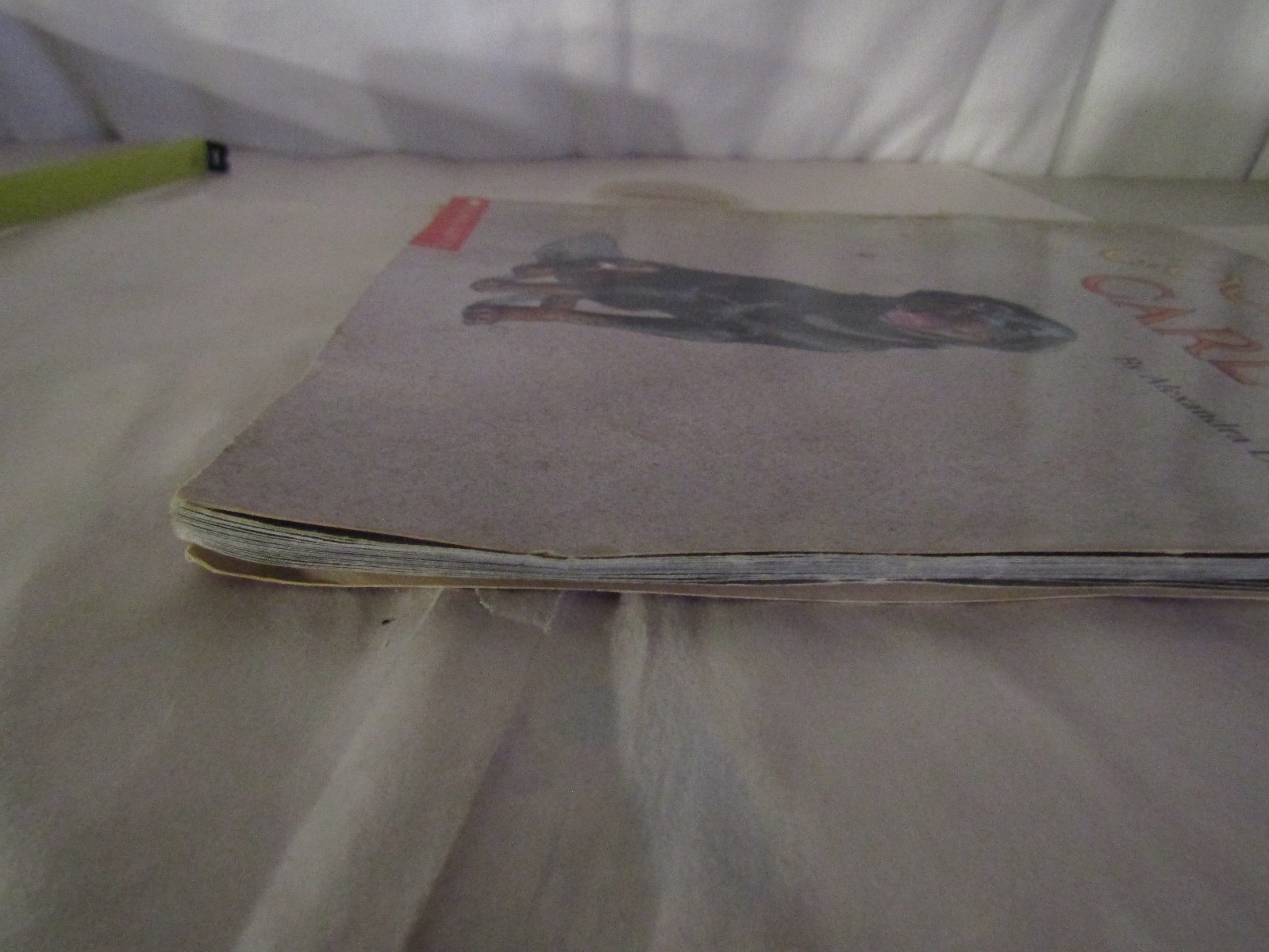 Good Dog, Carl by Alexandra Day (1991, Picture Book)