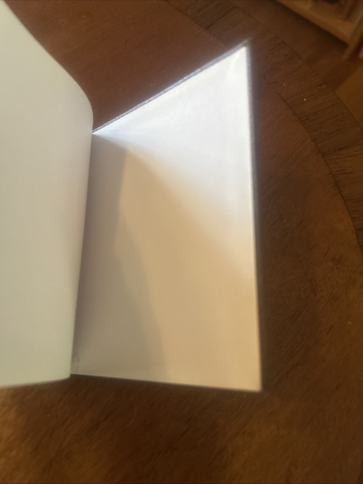 NEW Burberry Pebbled Brown Leather Blank Book w Gold Edging 4.5 X 5.5 Inches