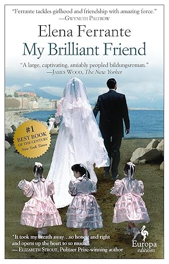 Complete Series Set NEOPOLITAN 1-4 Elena Ferrante Lot My Brilliant Friend