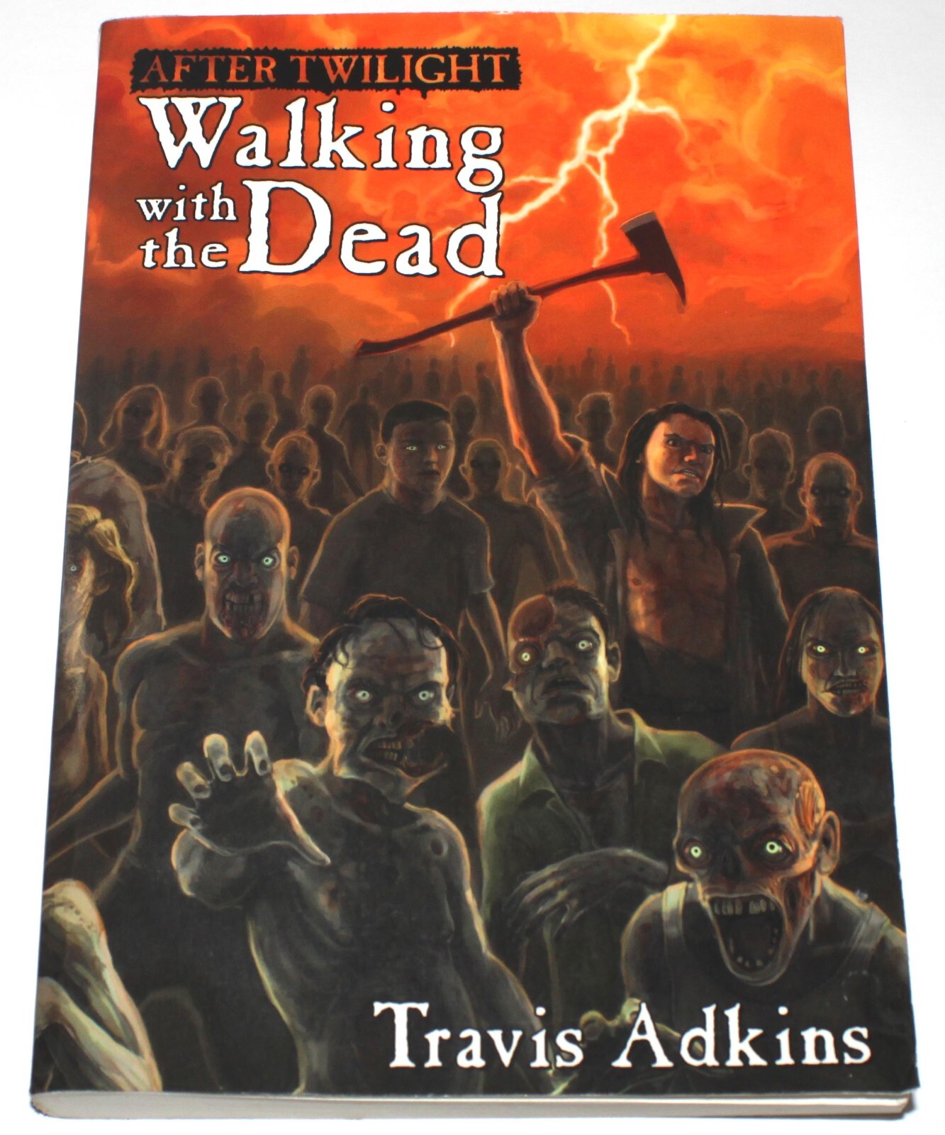 After Twilight : Walking With The Dead by Travis Adkins (2009) Zombie Novel