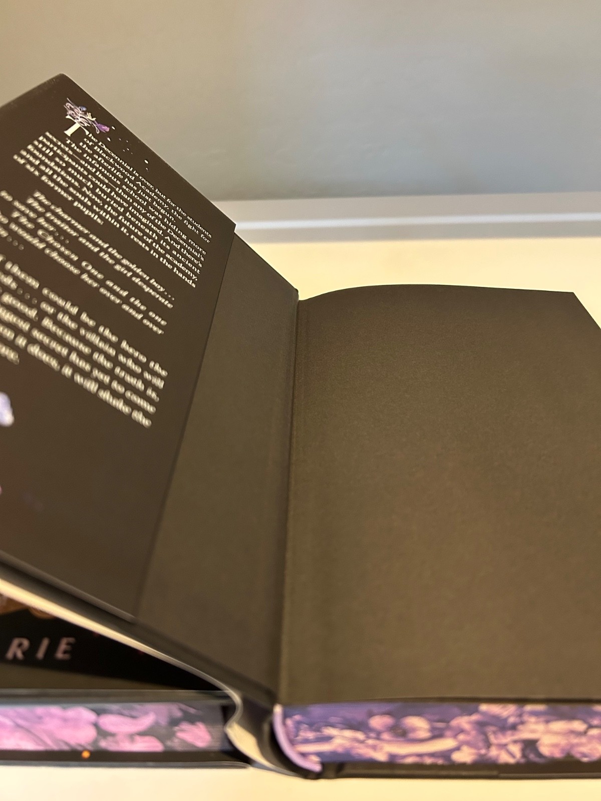 Ruinous Ends & Immortal Consequences by I. V. Marie Hardcover Deluxe Edition