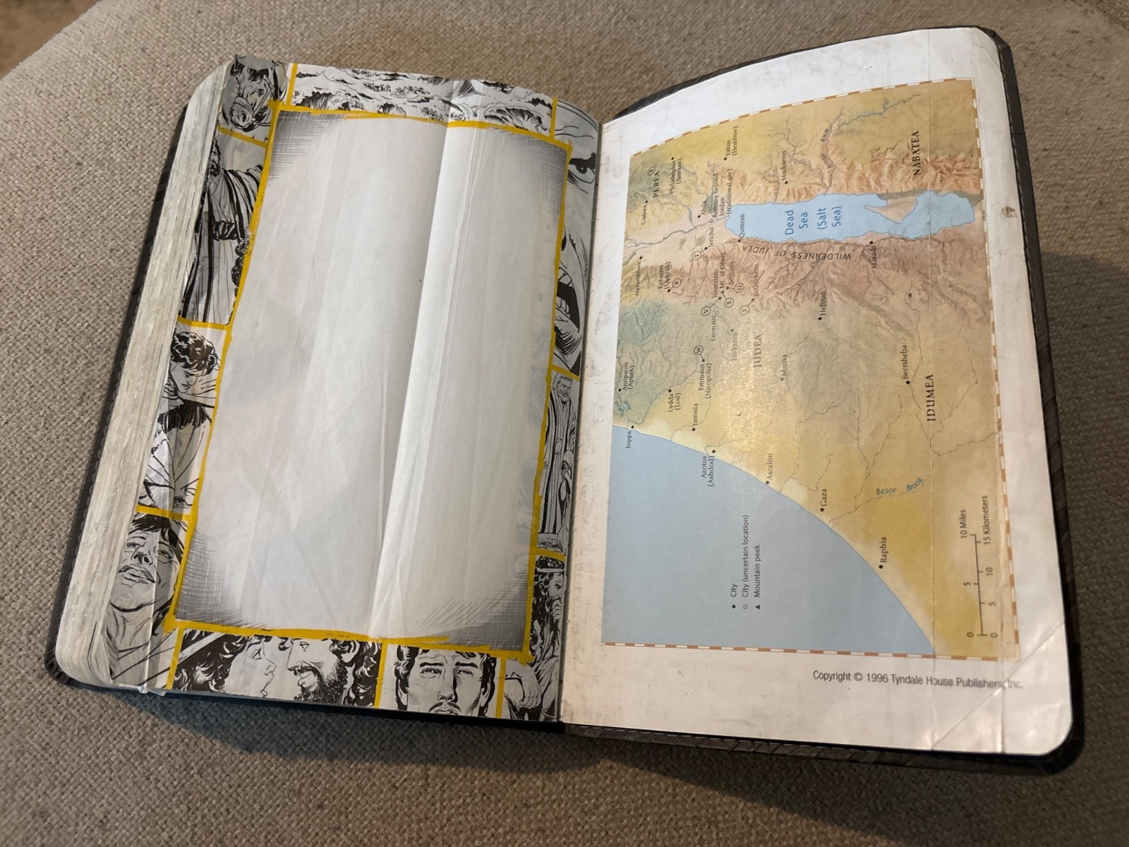 The Action Bible Study Bible ESV David C Cook Imitation Leather G…