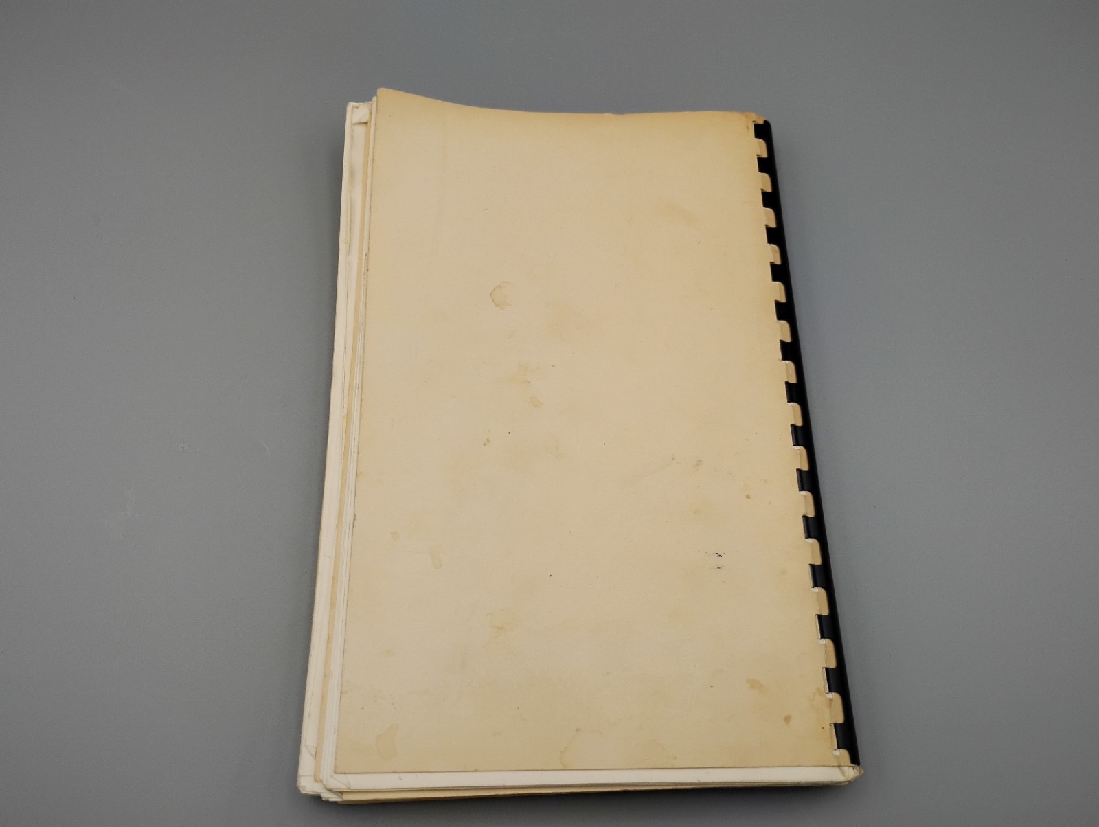 Recipes From The Rose Bowl Restaurant And Friends Cookbook Comb Bound Atlanta GA