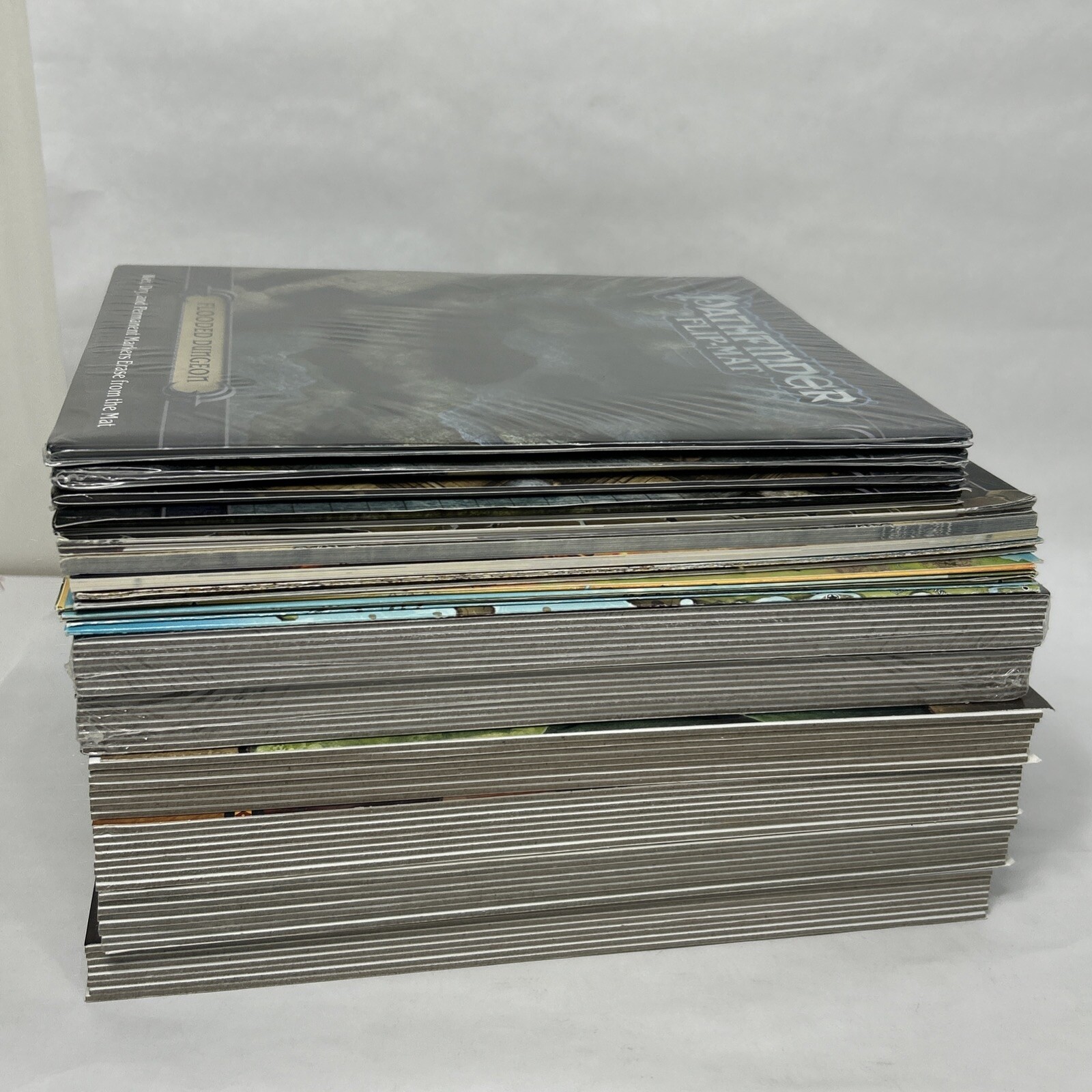 Pathfinder RPG Pawn Collection Unpunched Map Campaign Setting Module Flip Mat