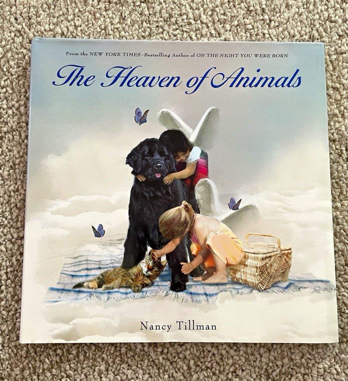 The Heaven of Animals Picture Book by Nancy Tillman 2014 Feiwel & Friends