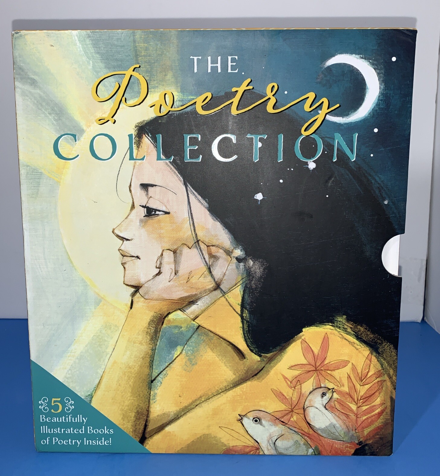 Poetry Collection Box Set: 5 Beautifully Illustrated Books of Poetry – Like New