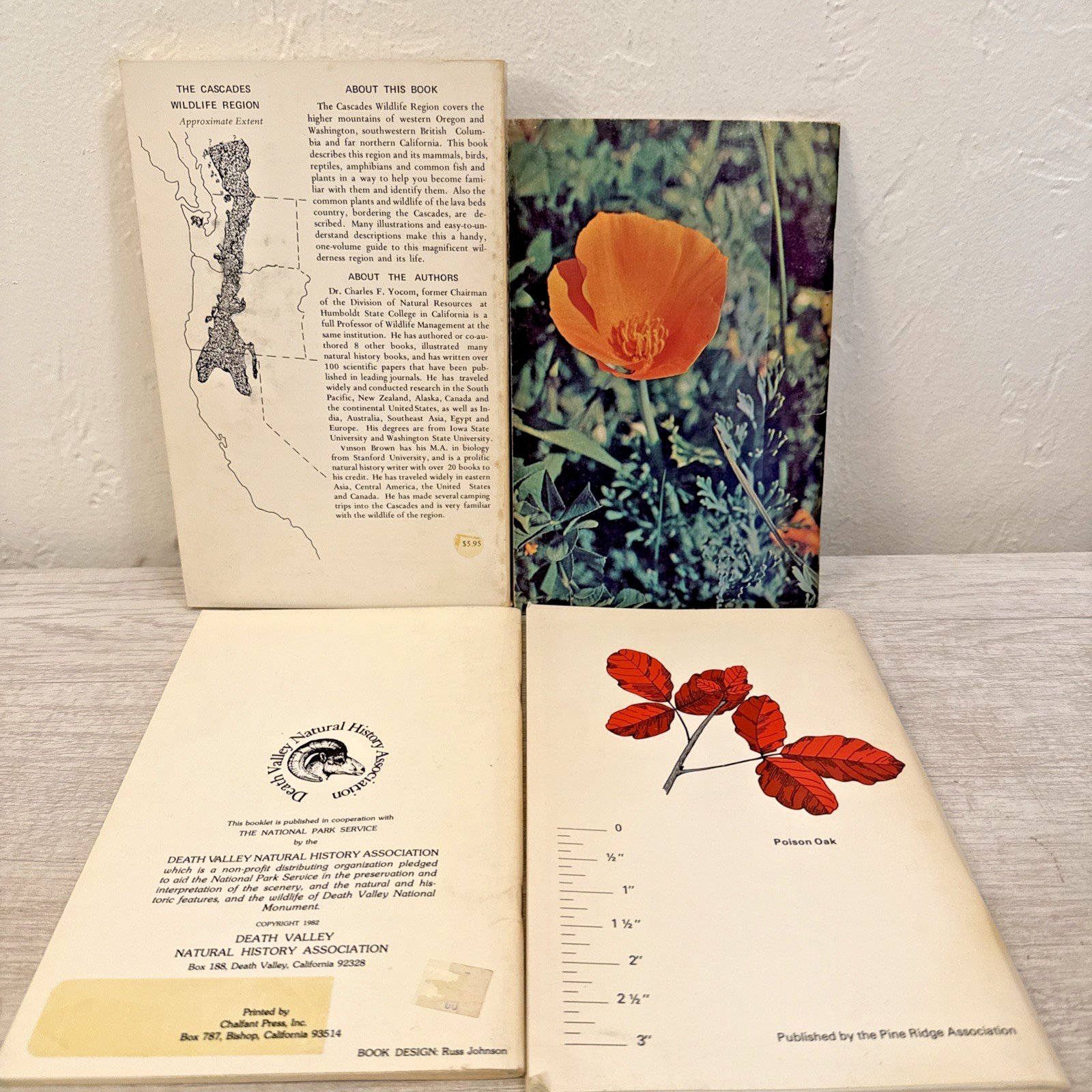 Lot 4 Books Wildflowers & Plants By Different Authors