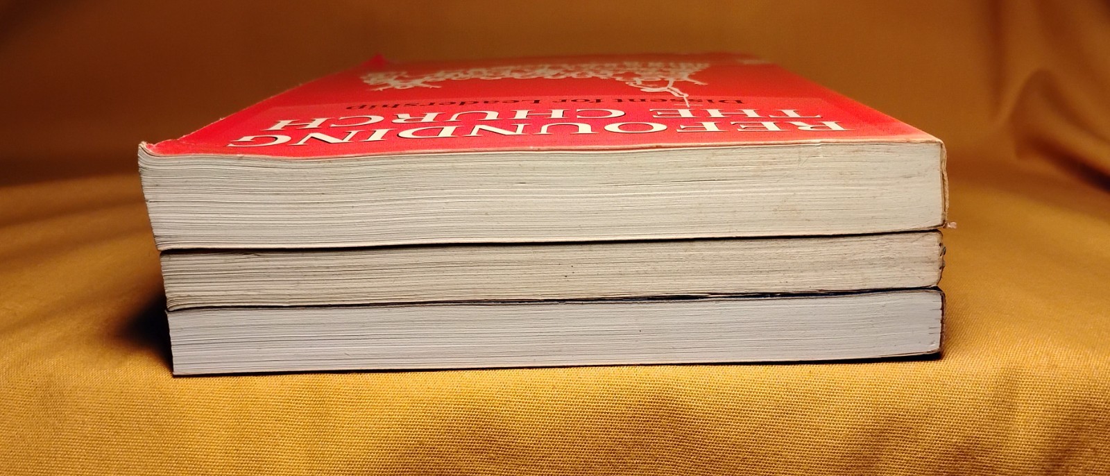 Sic et Non Spiritual Discernment Refounding the Church Religion 3 PB book lot